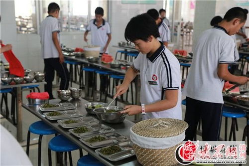 店子鎮中學榮獲“食安山東”餐飲服務示范單位稱號